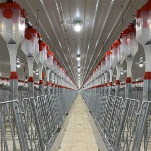 seakettide automaatne söötmissüsteem